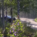 Passage à la limite du crash de Sébastien Ogier