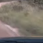 A l'intérieur de la Polo R WRC