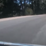A l'intérieur de la Hyundai I20 WRC