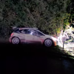 La Peugeot 208 R5 dans les arbres