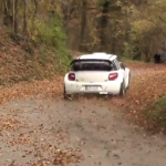La Citroën DS3 WRC au milieu des feuilles
