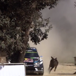 La Volkswagen Polo R WRC qui évite le choc