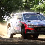 Une Hyundai I20 WRC au milieu des bois