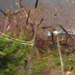 La Ford Fiesta WRC dans les vignes