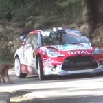 La Citroën DS3 WRC à deux doigts du chien